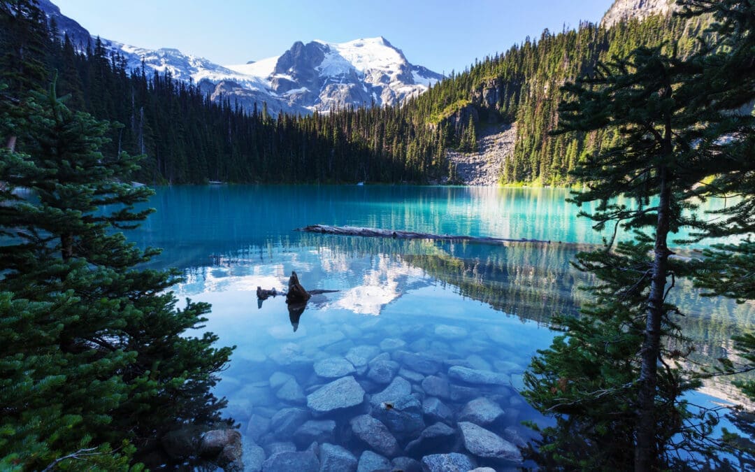 17e banquet annuel d&rsquo;intronisation et réunion le 25 février 2025 à Surrey, C.-B.